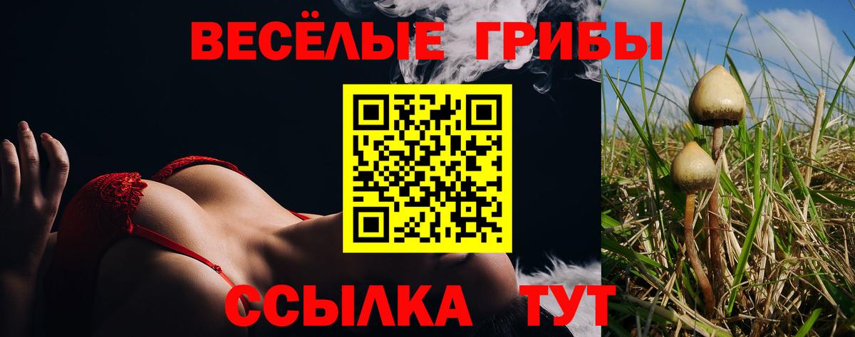 Родники  Галлюциногенные грибы Cubensis  Псилоцибиновые грибы GOLDEN TEACHER  Вход с VPN 